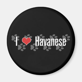 I (hjärta) Havanese Magnet