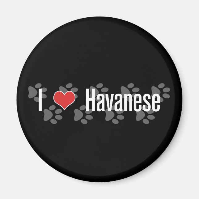 I (hjärta) Havanese Magnet (Framsidan)