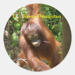 I Hjärtat Orangutans Runt Klistermärke