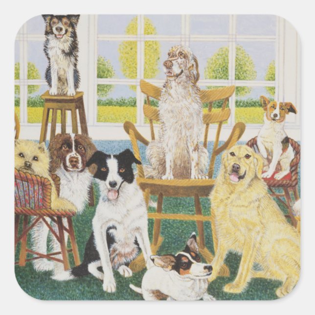 I HUND FYRKANTIGT KLISTERMÄRKE (Framsida)