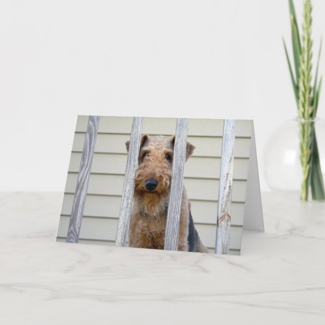 I hundkojakortet kort (Framsida)