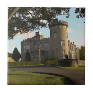 I Irland, Dromoland Castle sidoingång Kakelplatta