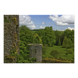 I Irland, på Blarney Castle en stentorn i Fototryck
