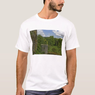 I Irland, på Blarney Castle ett stentorn i T-shirt
