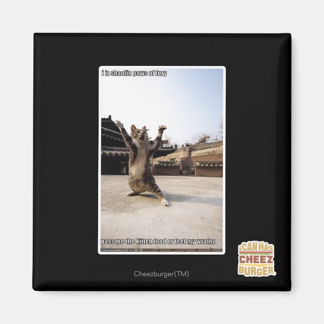 I iz shaolin tassar of fury magnet (Framsidan)