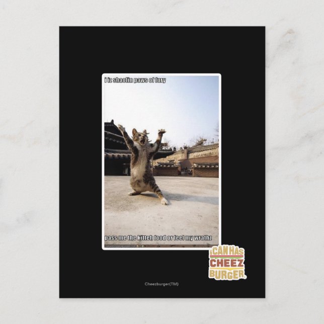 I iz shaolin tassar of fury vykort (Framsida)