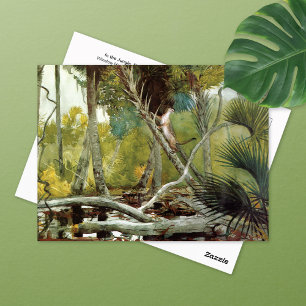 I Jungle Florida Winslow Homer Vykort
