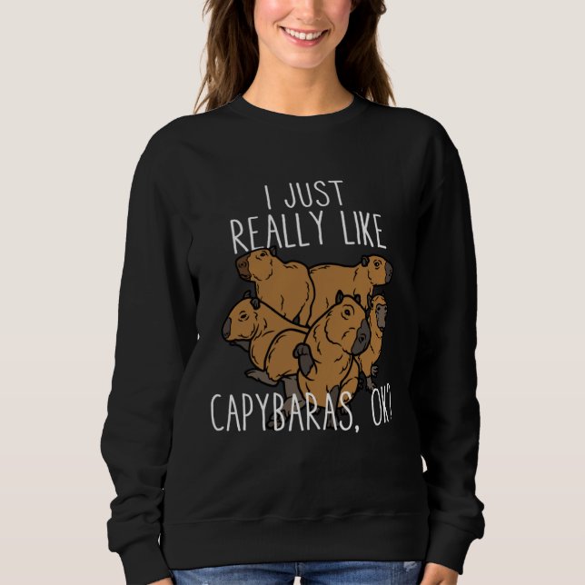 I Just Really Like Capybaras Ok  Capibara Rodent H T Shirt (Framsida)