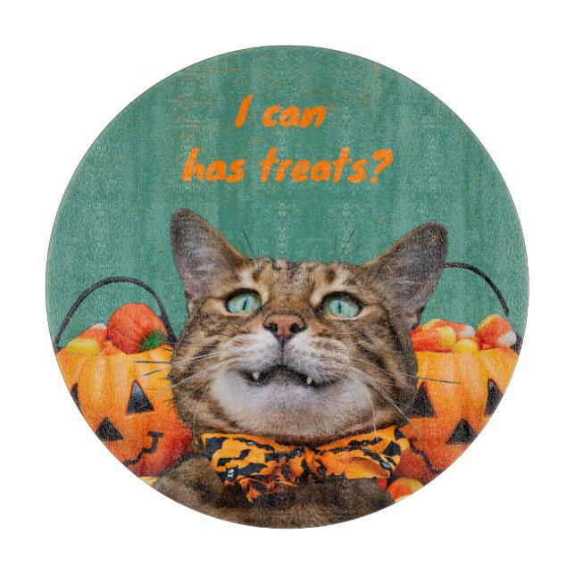 I Kan ha Behandla Cat Round CIT Board (Framsidan)