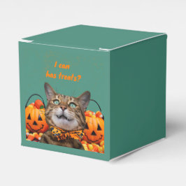 i kan ha förmånslåda för katter presentaskar