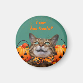 i Kan ha katttrålning Magnet