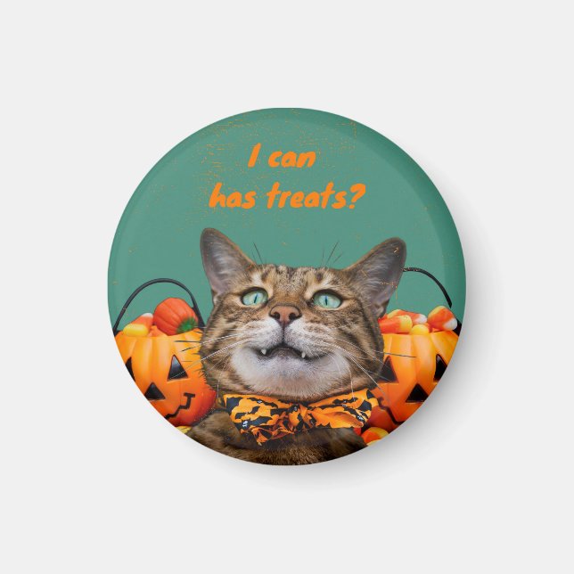 i Kan ha katttrålning Magnet (Framsidan)