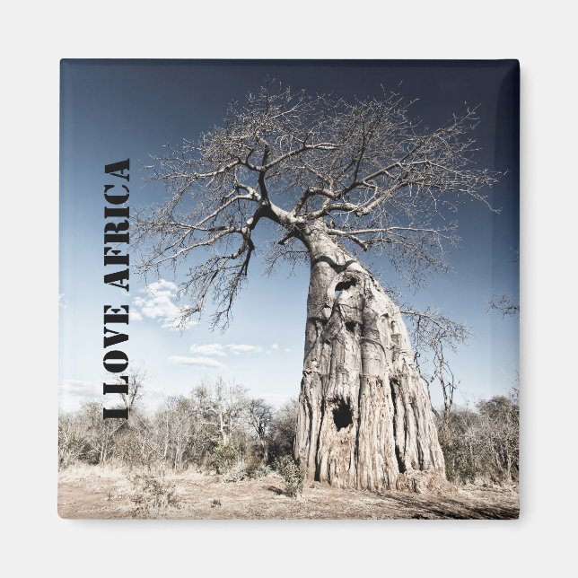 I kärlek Afrika Baobab Träd foto Magnet (Framsidan)