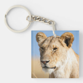 I kärlek Afrika Porträtt i ett lionfritt foto