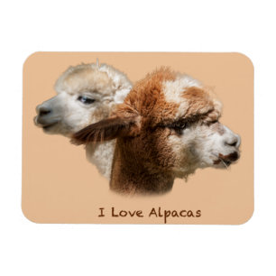 I Kärlek Alpacas Magnet