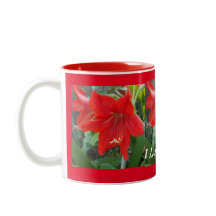 I kärlek Amaryllis Flowers Kopp