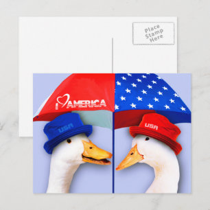 I Kärlek Amerika. Funny Patriotic Ankor Vykort