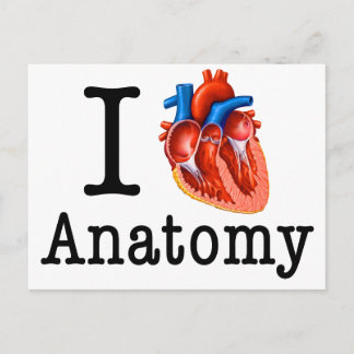 I kärlek Anatomy Vykort