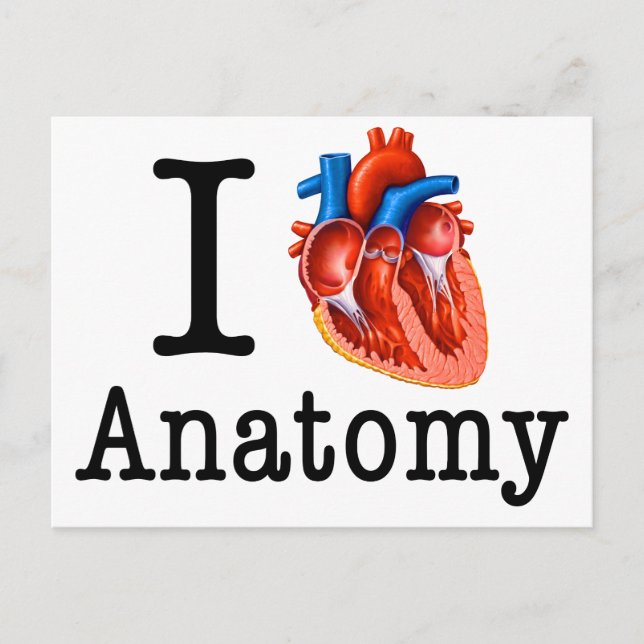 I kärlek Anatomy Vykort (Framsida)