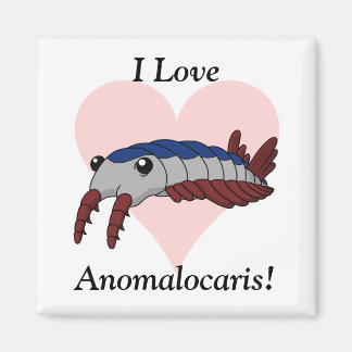I Kärlek Anomalocaris! Magnet