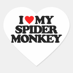 I KÄRLEK ÄR MIN SPIDER MONKEY HJÄRTFORMAT KLISTERMÄRKE