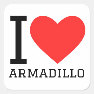 I kärlek armadillo fyrkantigt klistermärke