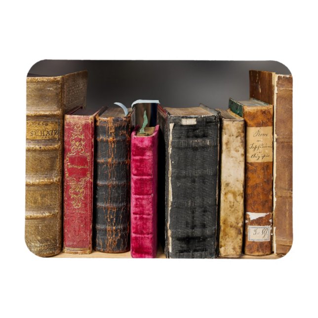 I Kärlek att läsa, antika Vintage Bokar Magnet (Horisontell)