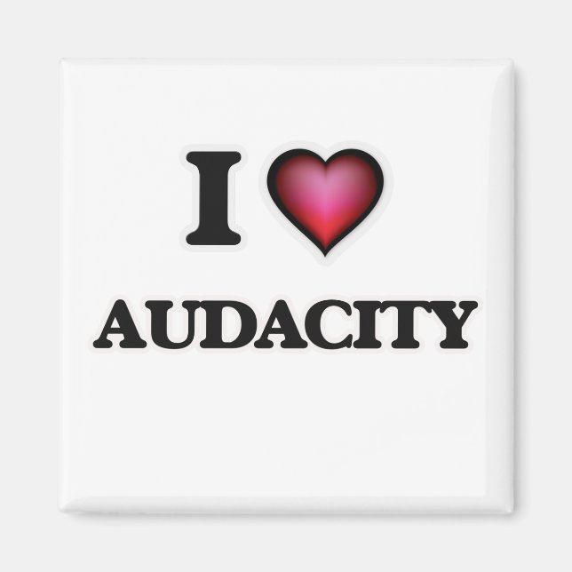 I Kärlek Audacity Magnet (Framsidan)