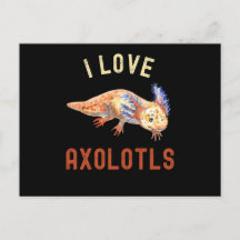 I Kärlek Axolotls, Cute Funny Axolotl