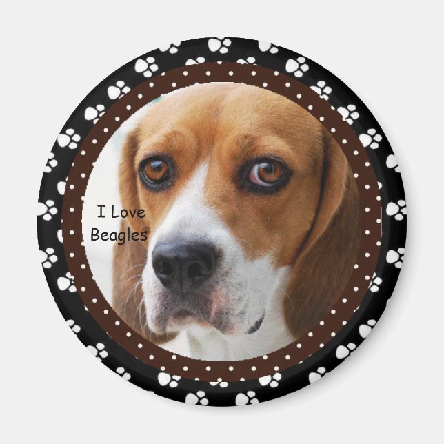 I kärlek Beagles Magnet (Framsidan)