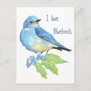 I kärlek Bluebirds, fågelinsamling Vykort