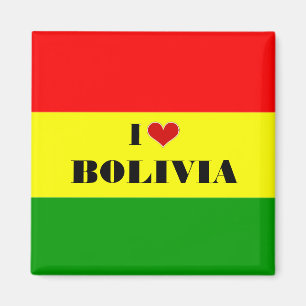 I Kärlek Bolivia Magnet