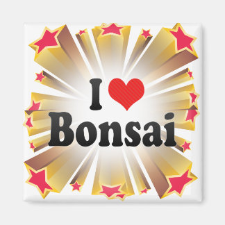 I Kärlek Bonsai Magnet
