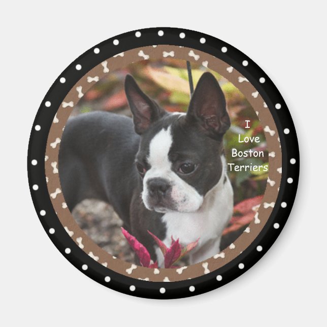 I kärlek boston Terrier Hundar Magnet (Framsidan)