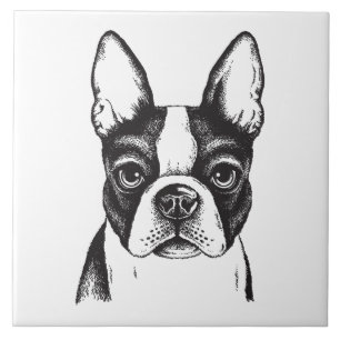 I kärlek Boston Terriers Kakelplatta