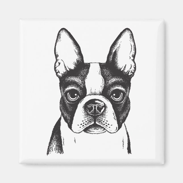 I kärlek Boston Terriers Magnet (Framsidan)