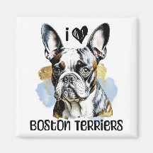 I Kärlek Boston Terriers