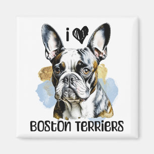 I Kärlek Boston Terriers Magnet