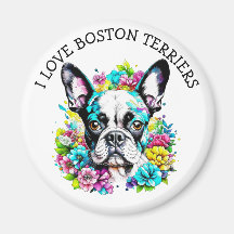 I Kärlek Boston Terriers