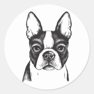 I kärlek Boston Terriers Runt Klistermärke
