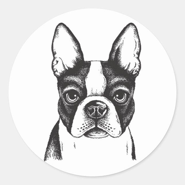 I kärlek Boston Terriers Runt Klistermärke (Framsida)