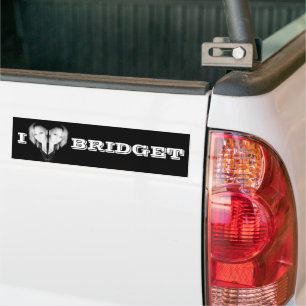 I Kärlek Broar Bumper Sticker Bildekal