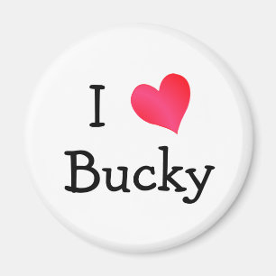I Kärlek Bucky Magnet