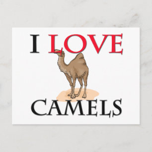 I Kärlek Camels Vykort