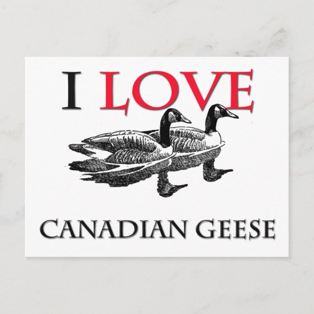 I Kärlek Canadian Geese Vykort (Framsida)