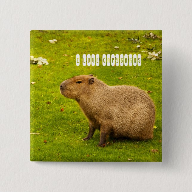 I kärlek Capybaras Button Knapp (Framsida)