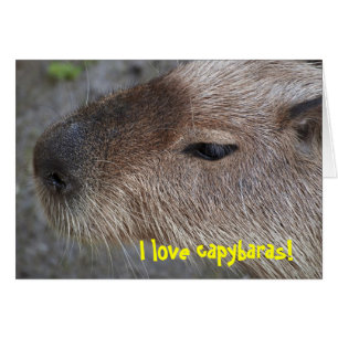 I kärlek capybaras hälsningskort