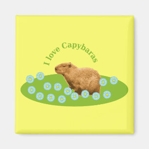 I kärlek Capybaras Magnet