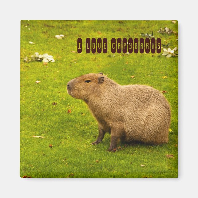 I kärlek Capybaras Magnet (Framsidan)
