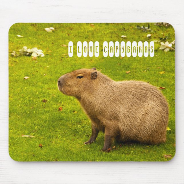 I kärlek Capybaras Mousepad Musmatta (Framsidan)